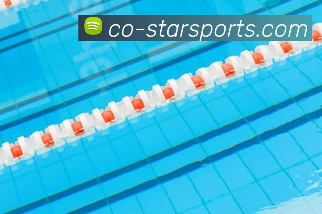 星空体育app平台生态图