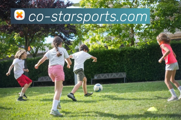 星空体育appAPP 封面图